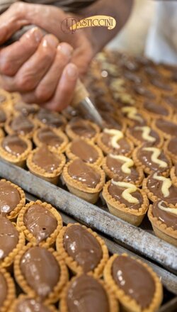 whatsapp image 2026-02-04 at 12 whatsapp image 2026-02-04 at 12